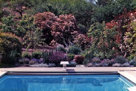 Swimmimg Pool and Hillside Lanscaping