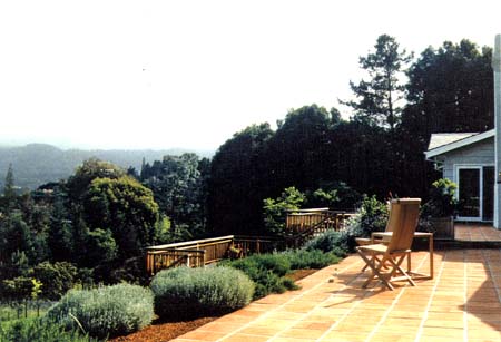 landscape design for  terracotta patio