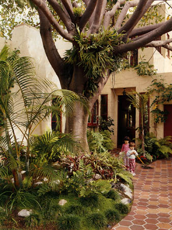 Rubber Tree with Orchid Garden and Children