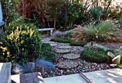 Stepping Stone Path With Water Wise Garden