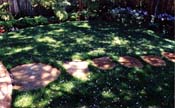 Stepping Stones Through Lawn